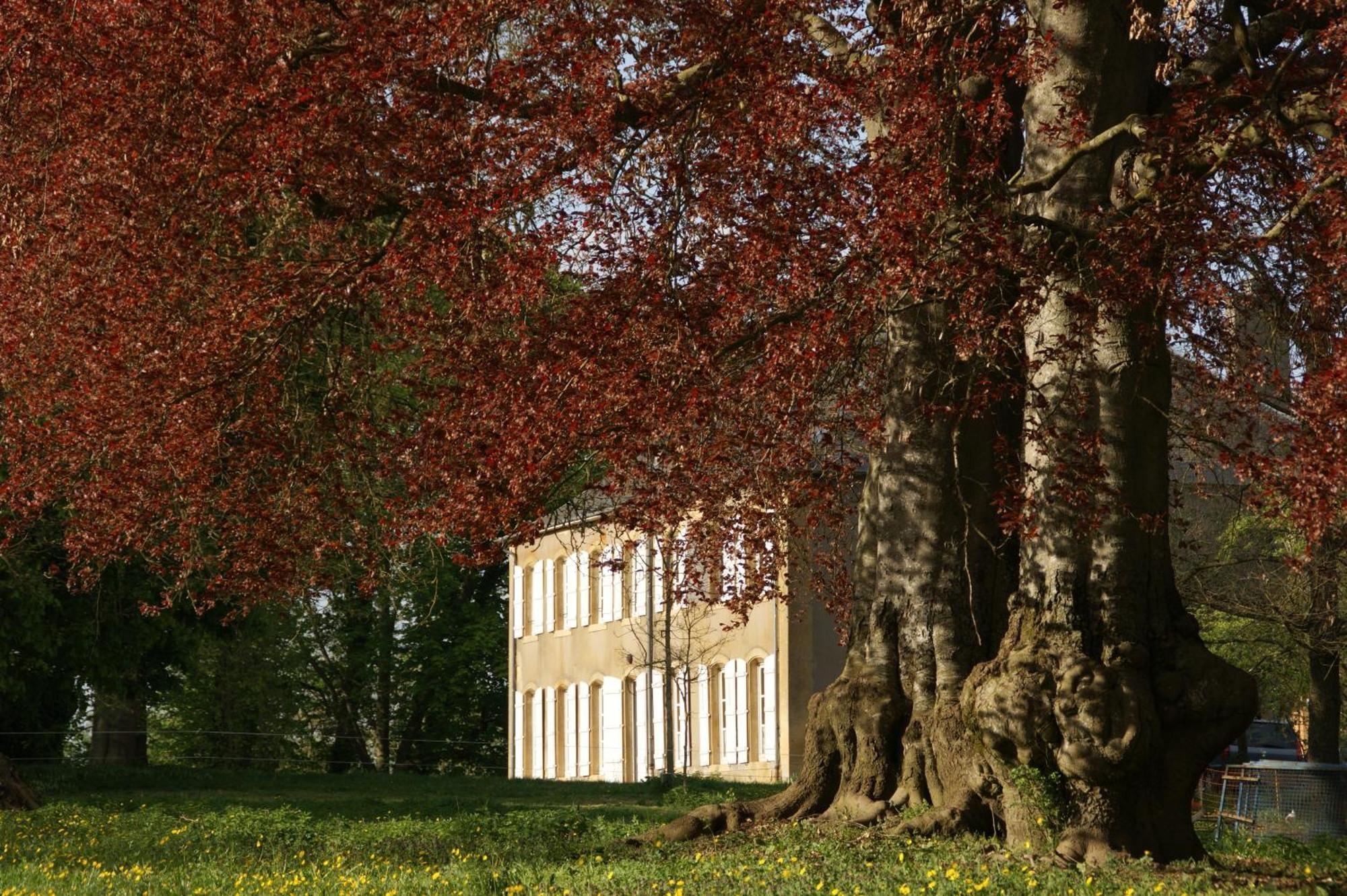 Maison D'Hotes Le Chateau De Puxe Dış mekan fotoğraf
